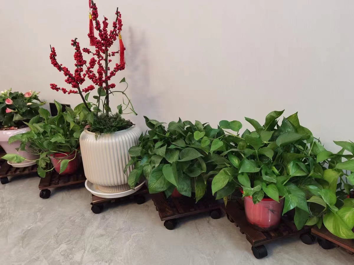 Picola Plant Stand - 4 Seasons Home Gadgets