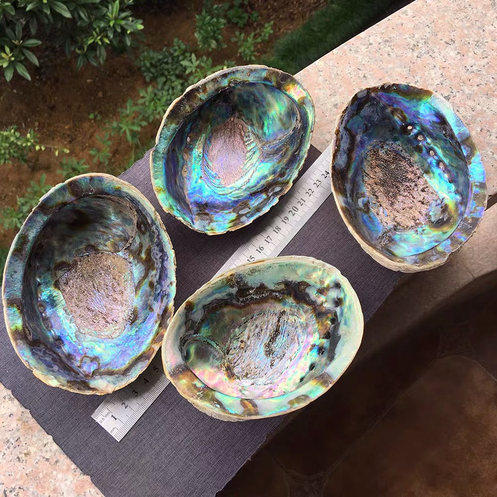 Abalone Soap Jewelry Tray - 4 Seasons Home Gadgets