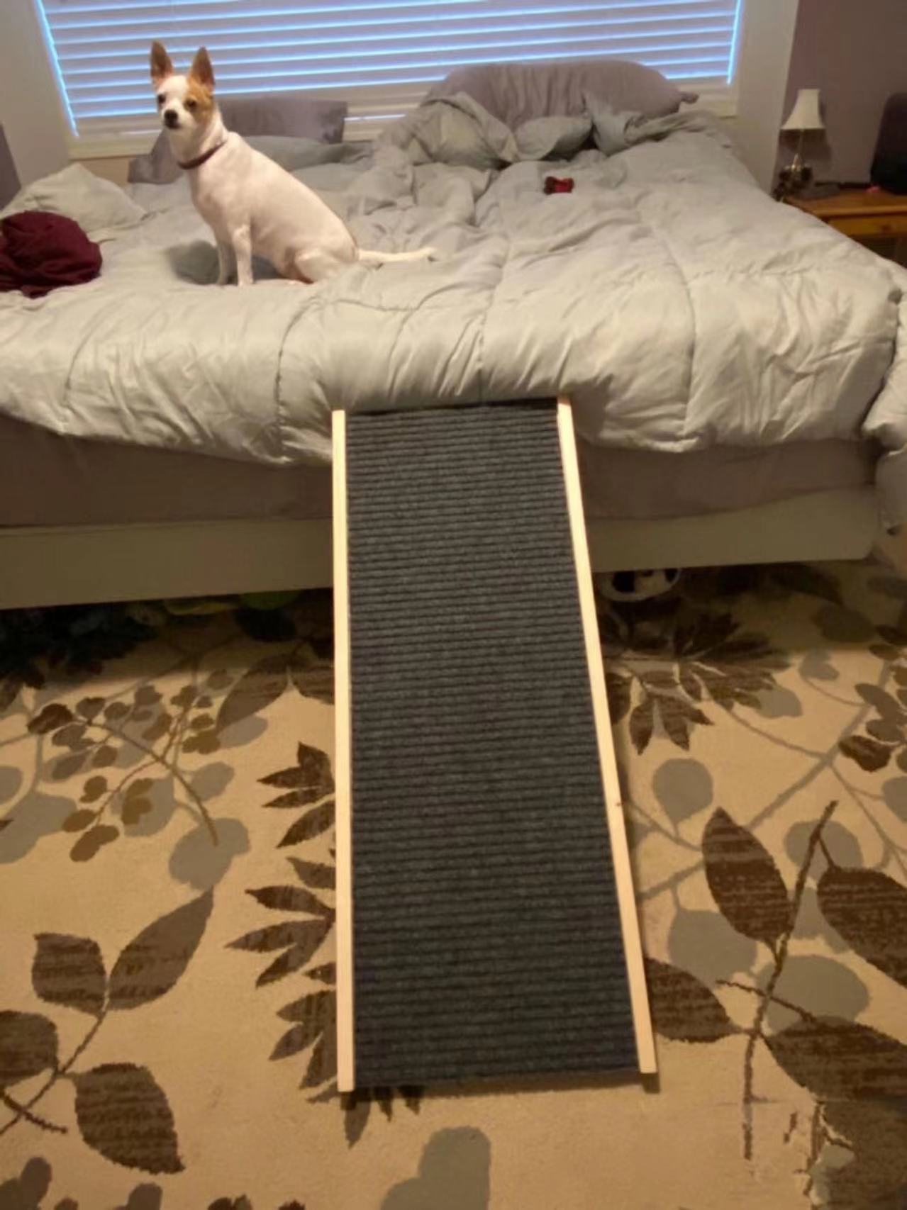 Adjustable Pet Ramp - 4 Seasons Home Gadgets