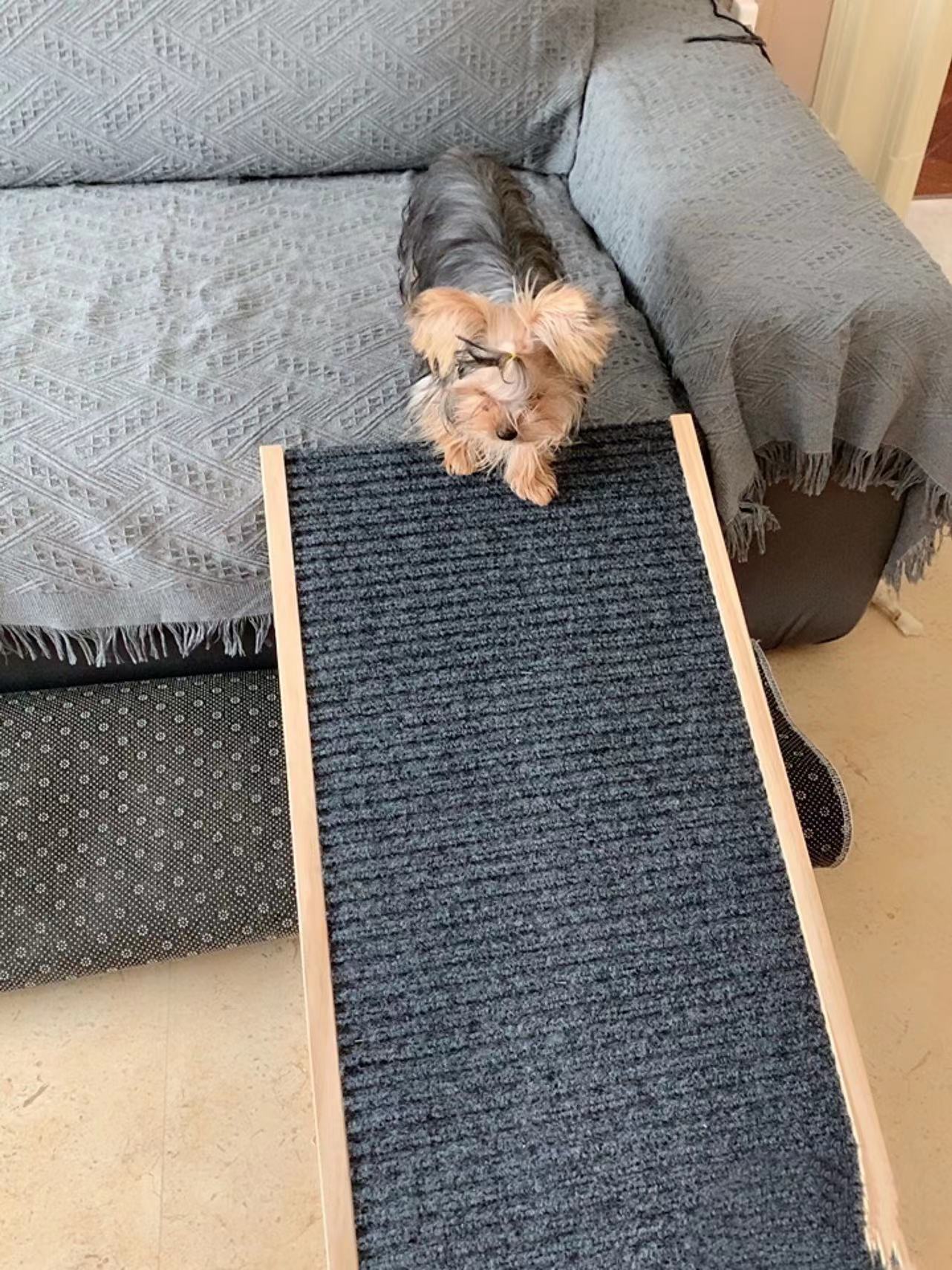 Adjustable Pet Ramp - 4 Seasons Home Gadgets