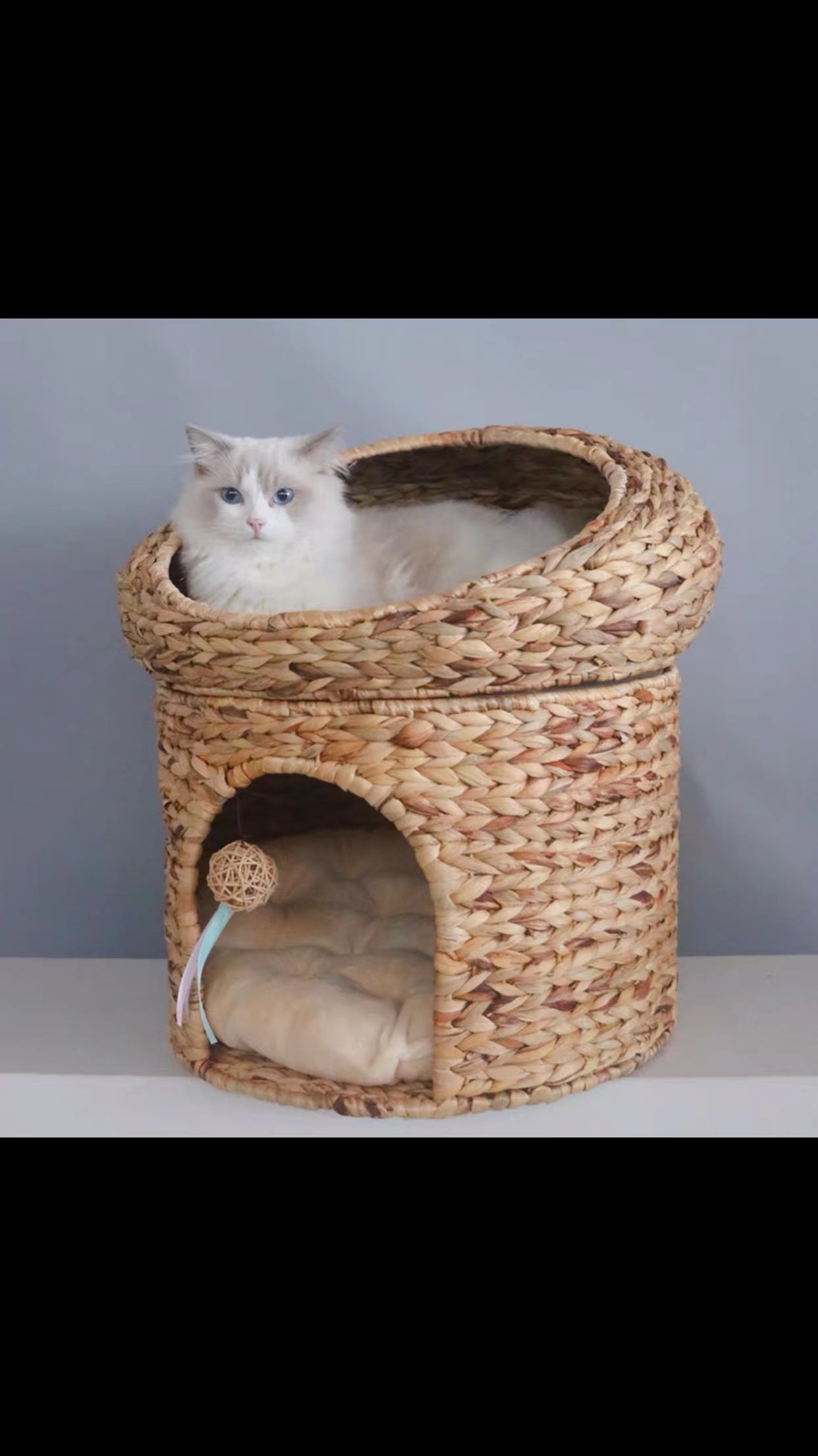 Bhure Cat Bed - 4 Seasons Home Gadgets