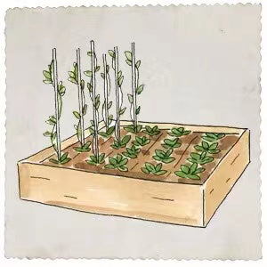 Diy Growing Garden Bed Box For Garden Yard or Lawn - 4 Seasons Home Gadgets