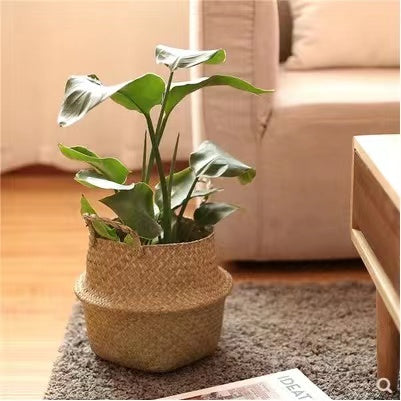 Foldable Rattan Basket - 4 Seasons Home Gadgets