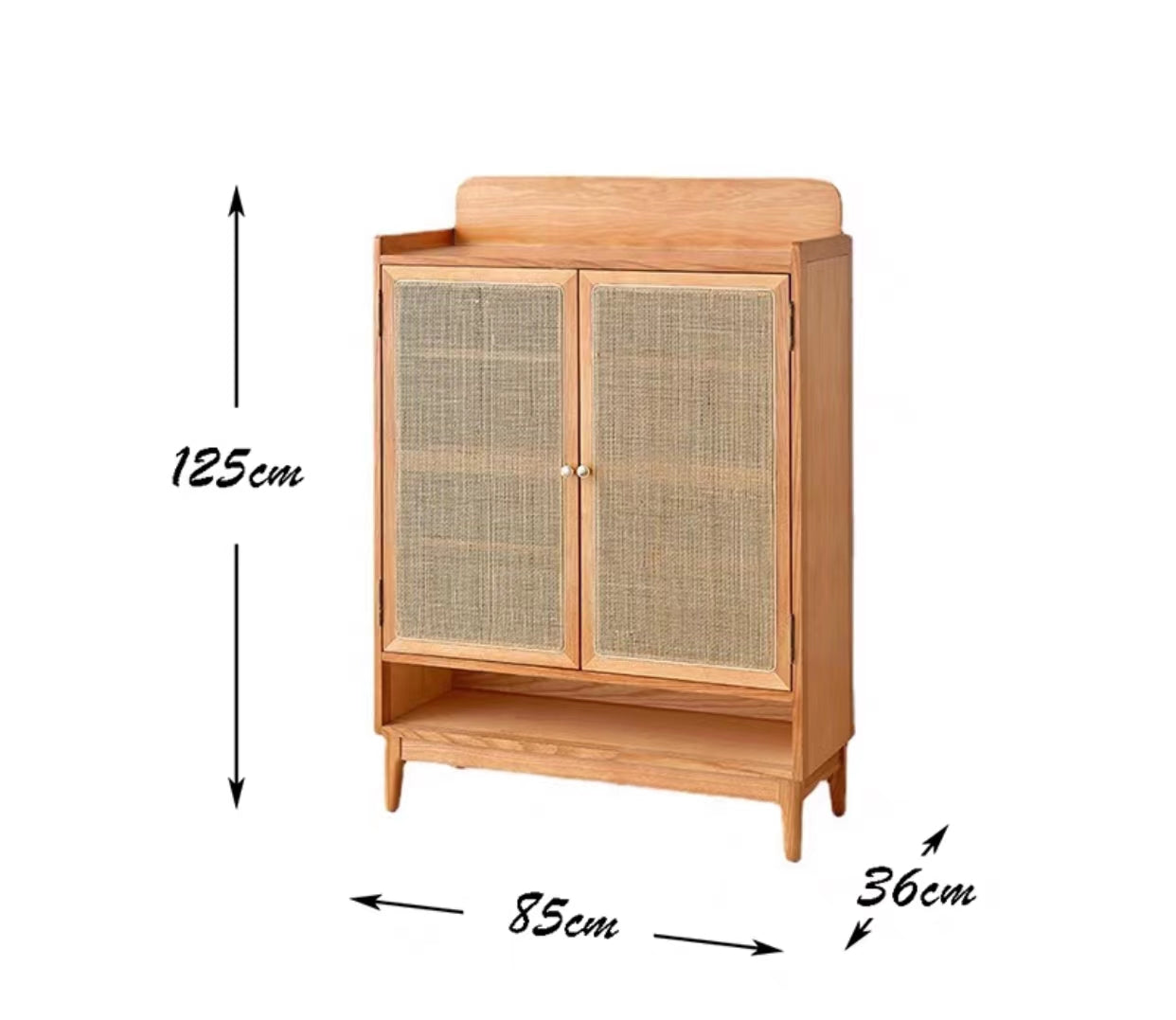 Modern Contemporary Mesh Shoe Storage Cabinet - 4 Seasons Home Gadgets