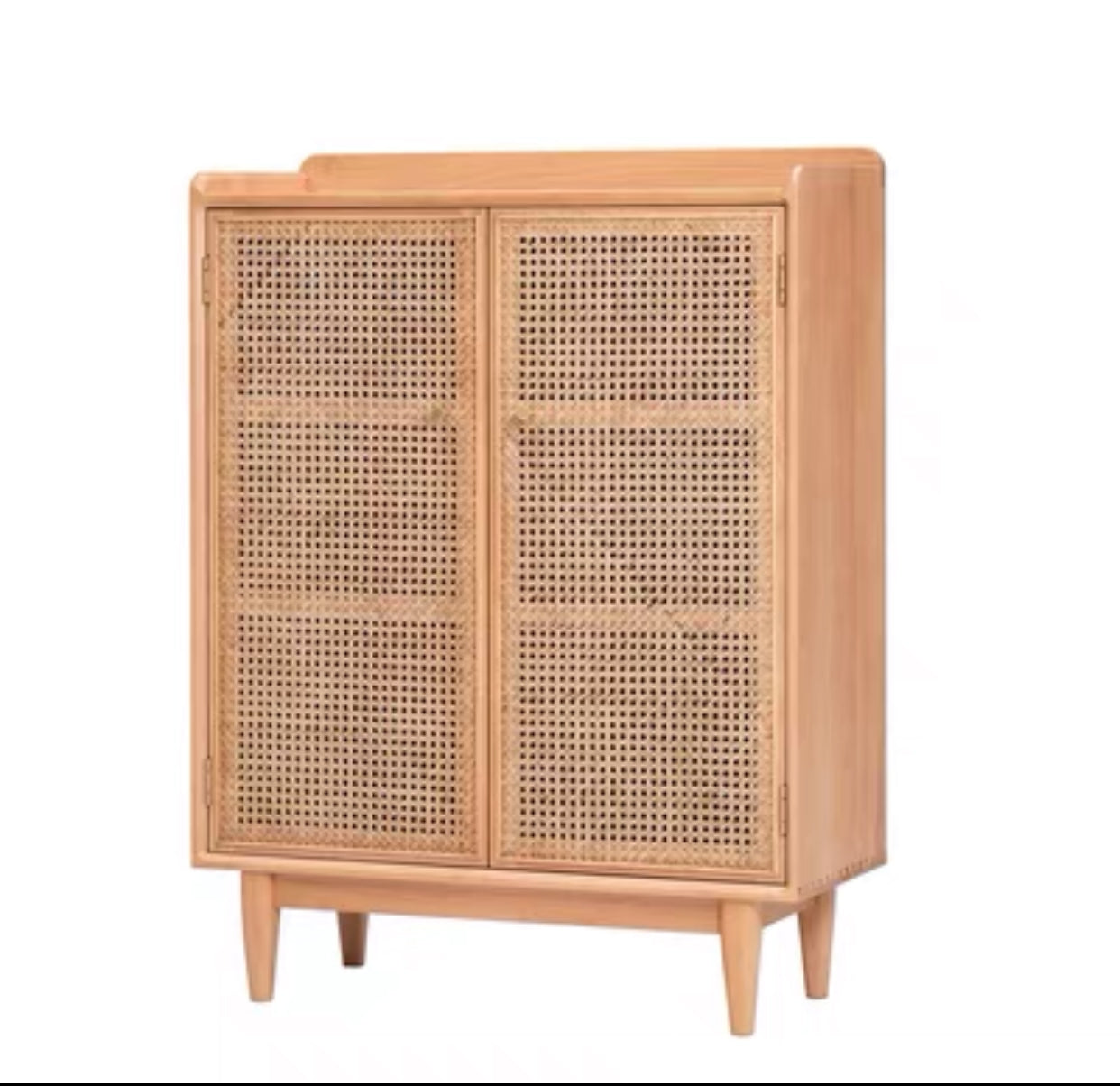 Modern and Contemporary Mesh Shoe Storage Cabinet - 4 Seasons Home Gadgets