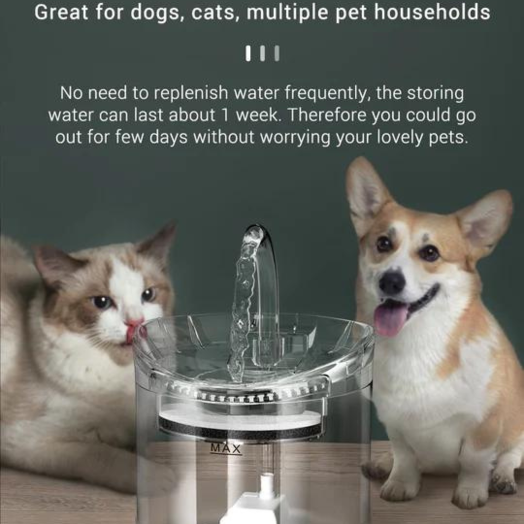 Pet Water Fountain - 4 Seasons Home Gadgets