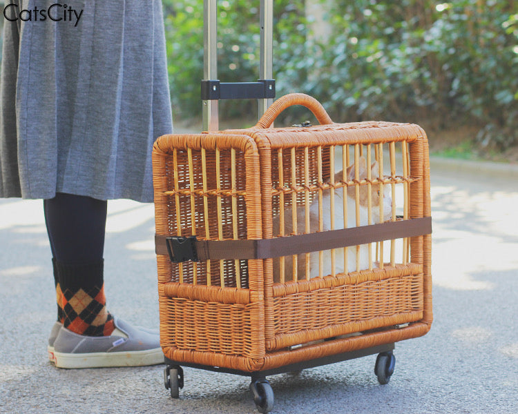 Rattan Rolling Stroller - 4 Seasons Home Gadgets