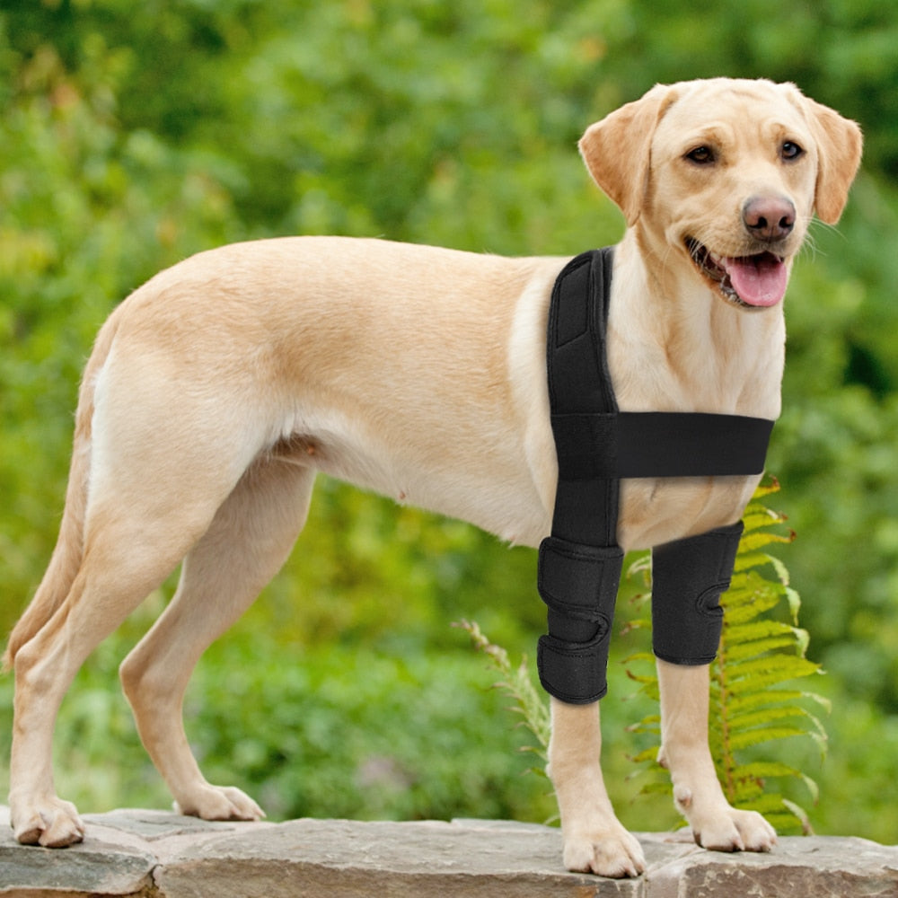 Dog Joint Wrap Brace Kit - 4 Seasons Home Gadgets