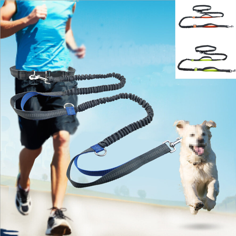 Hands-free Dog Leash/Heavy Duty - 4 Seasons Home Gadgets