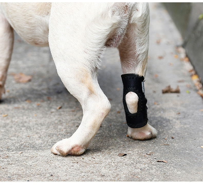 Dog Joint Support Protection Brace - 4 Seasons Home Gadgets