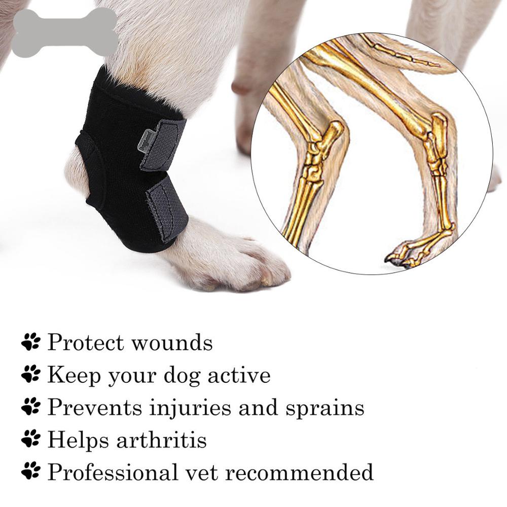 Dog Joint Support Protection Brace - 4 Seasons Home Gadgets