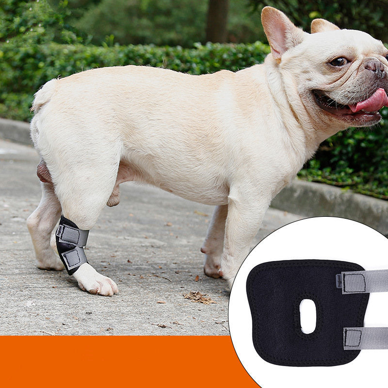 Dog Joint Support Protection Brace - 4 Seasons Home Gadgets