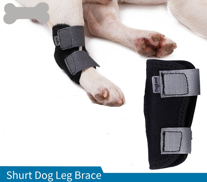 Dog Joint Support Protection Brace - 4 Seasons Home Gadgets