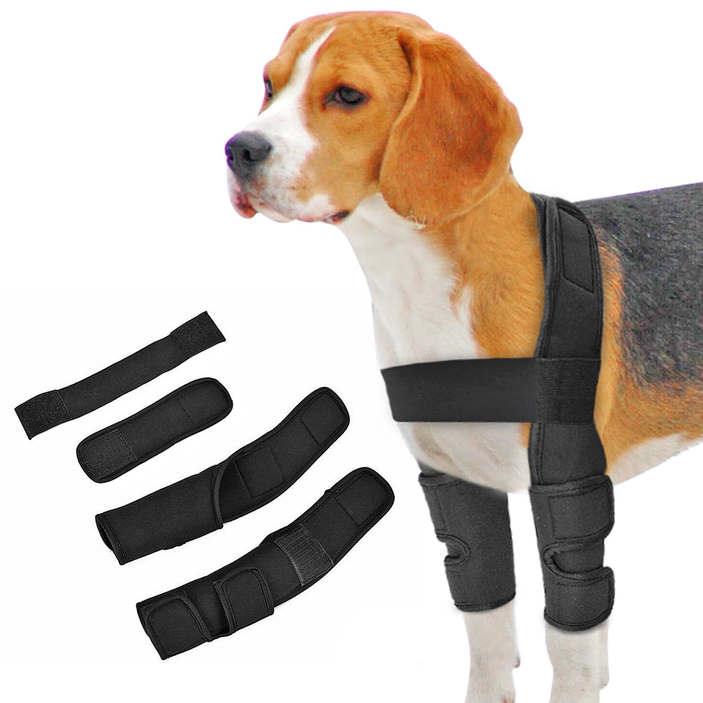 Dog Joint Wrap Brace Kit - 4 Seasons Home Gadgets