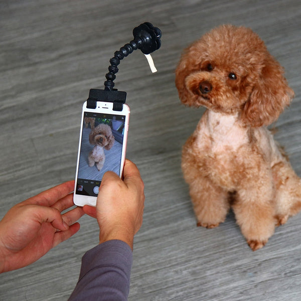 Dog Selfie Stick - 4 Seasons Home Gadgets