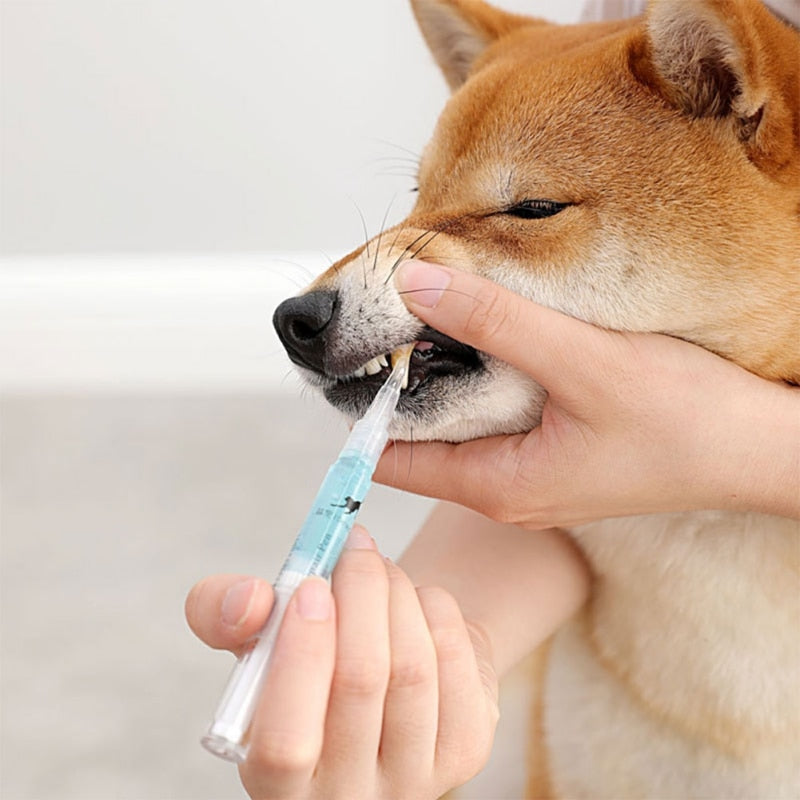 Pet Dog/Cat Teeth Cleaning Pen - 4 Seasons Home Gadgets