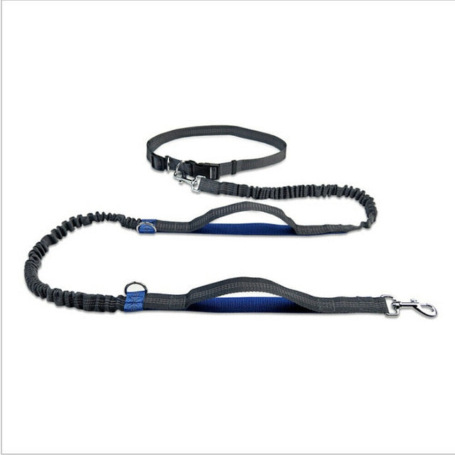 Hands-free Dog Leash/Heavy Duty - 4 Seasons Home Gadgets