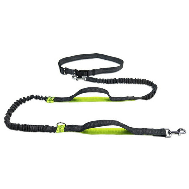 Hands-free Dog Leash/Heavy Duty - 4 Seasons Home Gadgets