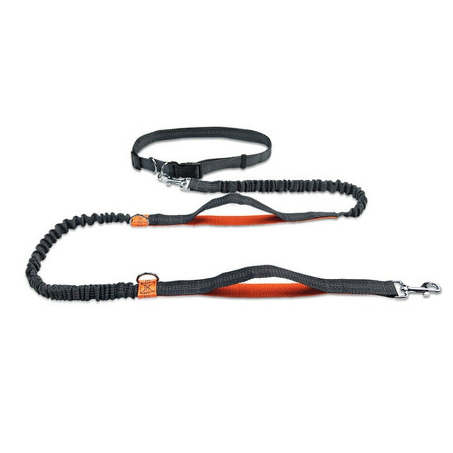 Hands-free Dog Leash/Heavy Duty - 4 Seasons Home Gadgets