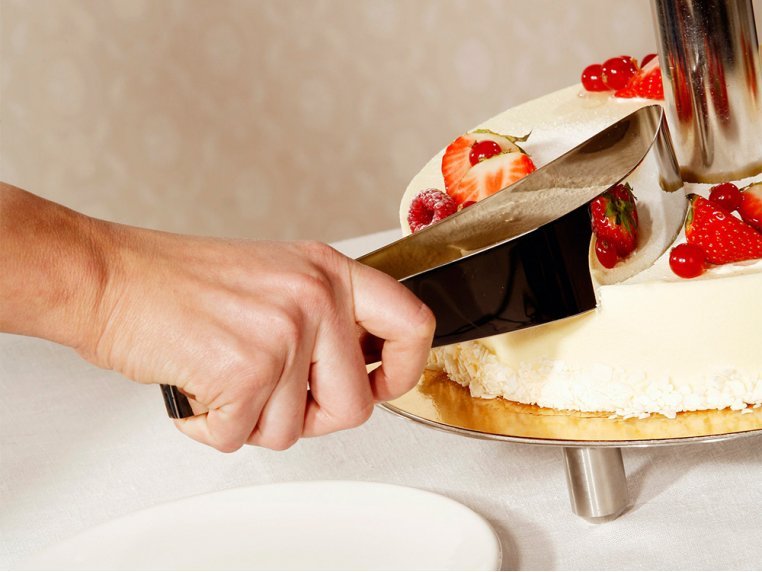 Stainless Steel Cake Slicer - 4 Seasons Home Gadgets