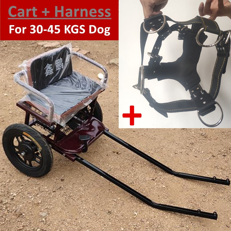 Dog Cargo Sled Cart - 4 Seasons Home Gadgets