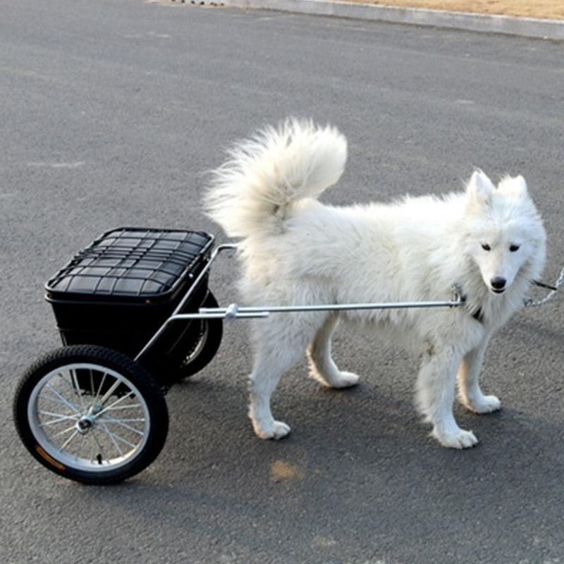 Dog Pull Cargo Cart - 4 Seasons Home Gadgets