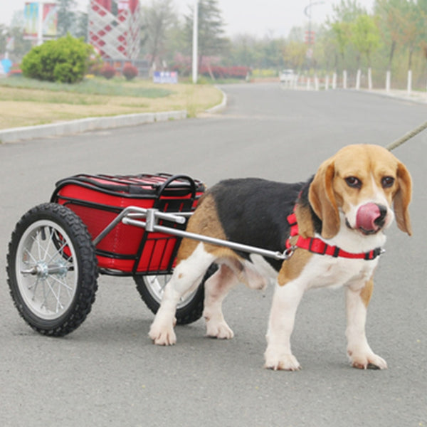 Dog Pull Cargo Cart - 4 Seasons Home Gadgets